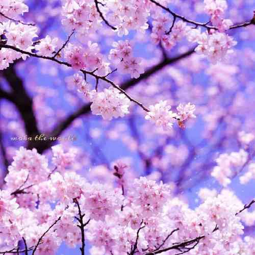 دانیال کلالی رفاقتا همش شده خیانت تنم میلرزه